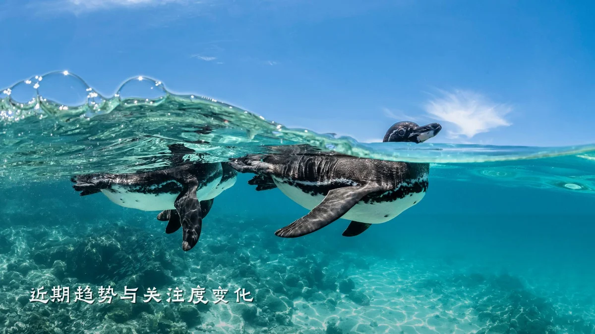 近期趋势与关注度变化
