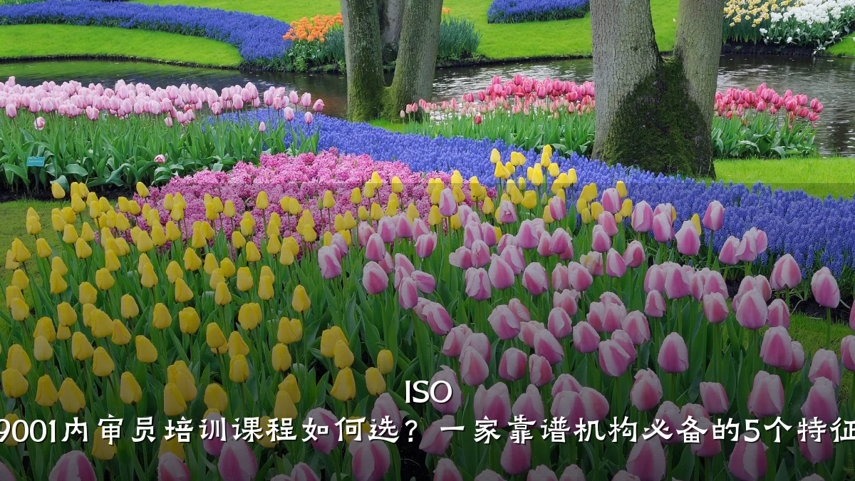ISO 9001内审员培训课程如何选?一家靠谱机构必备的5个特征
