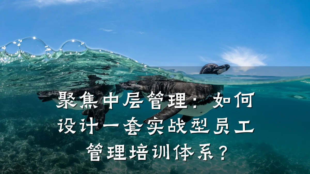 聚焦中层管理:如何设计一套实战型员工管理培训体系?