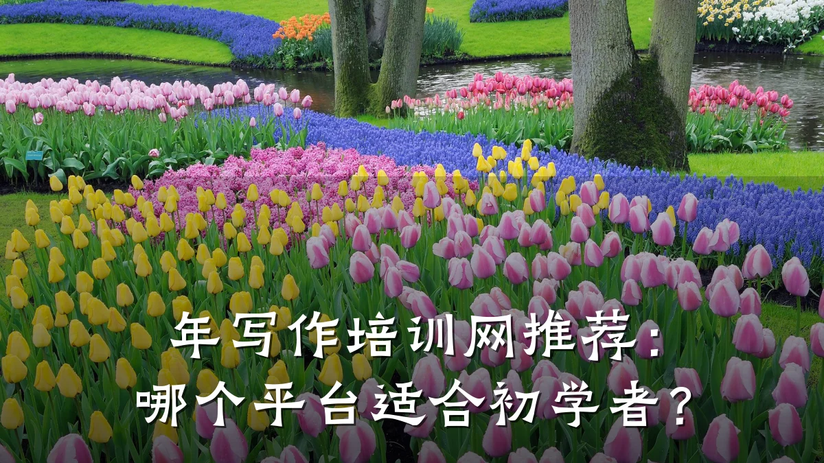 年写作培训网推荐:哪个平台适合初学者?