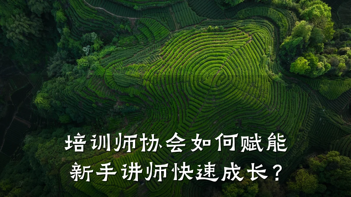 培训师协会如何赋能新手讲师快速成长?