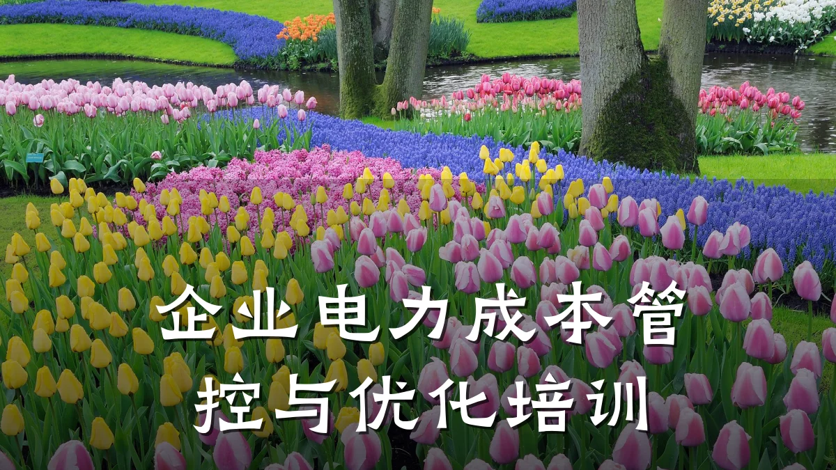 企业电力成本管控与优化培训