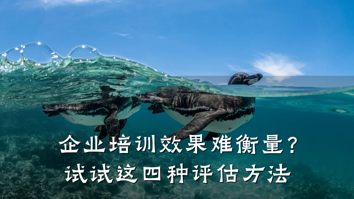 企业培训效果难衡量?试试这四种评估方法