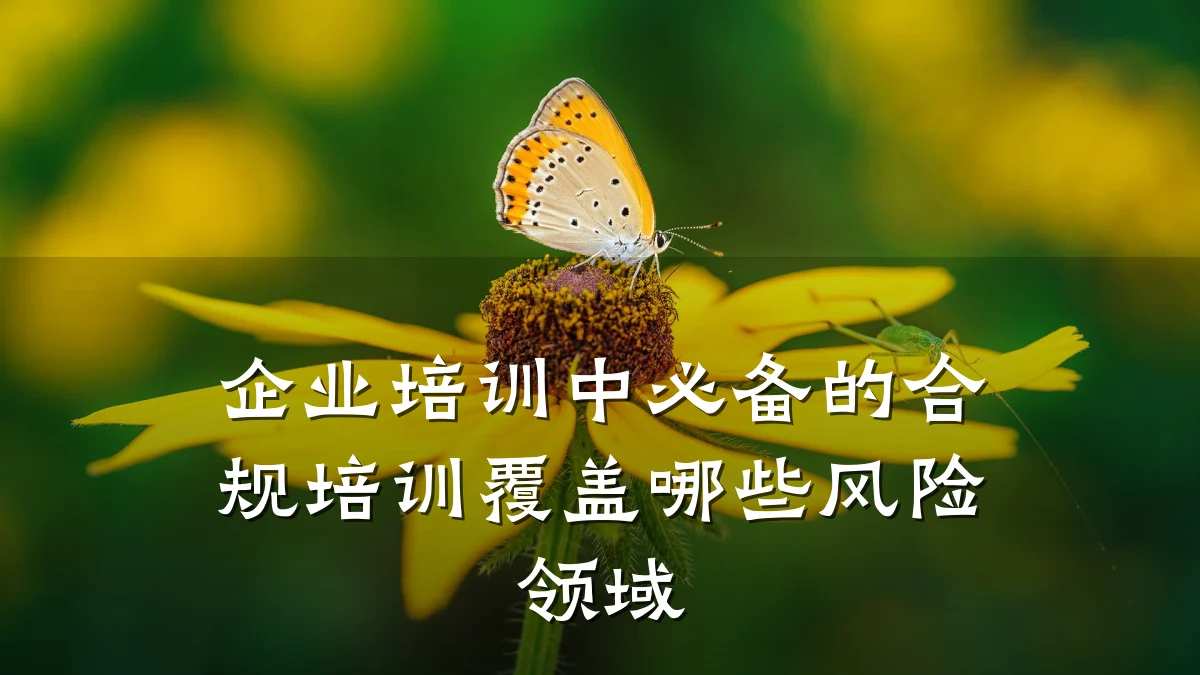 企业培训中必备的合规培训覆盖哪些风险领域