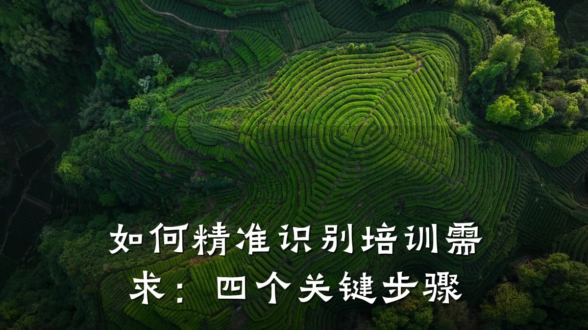 如何精准识别培训需求:四个关键步骤