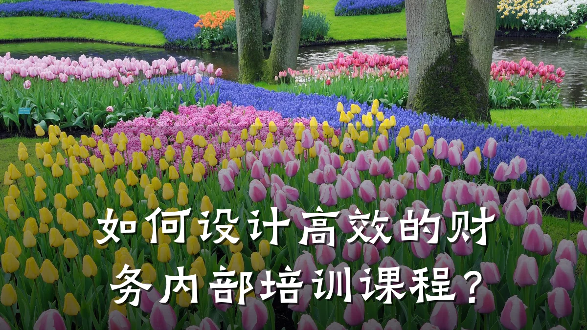 如何设计高效的财务内部培训课程?