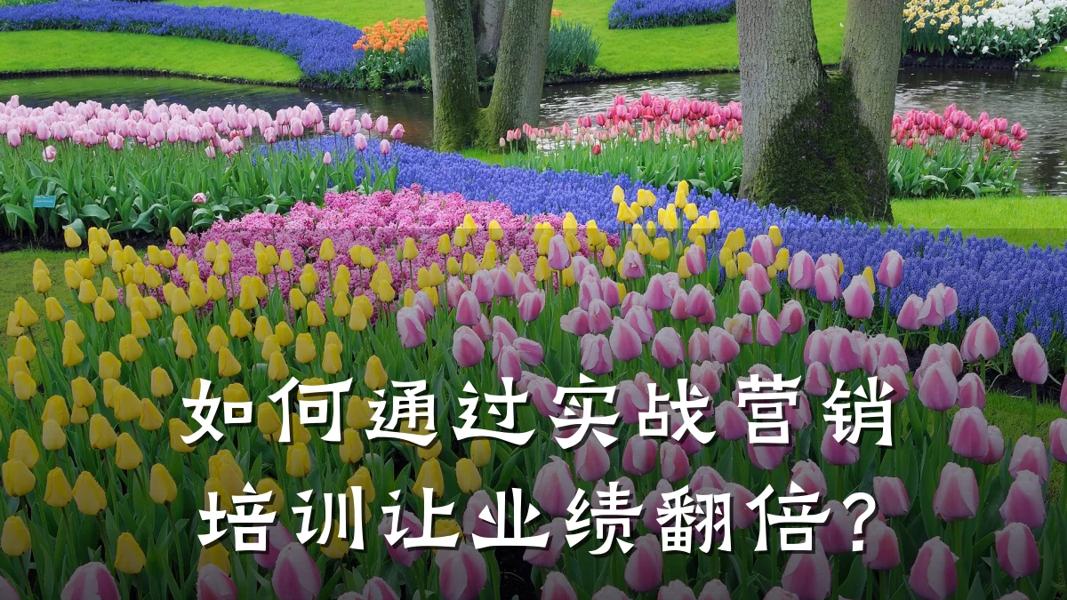如何通过实战营销培训让业绩翻倍?