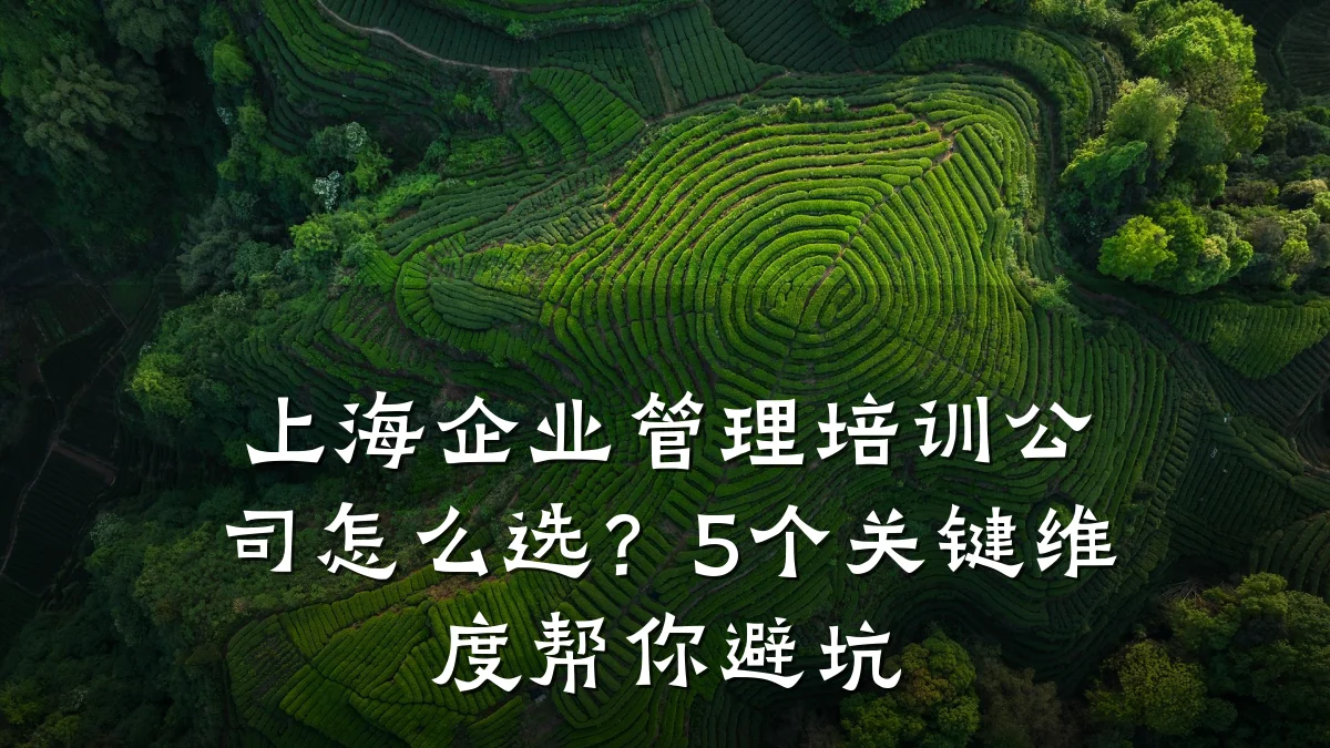上海企业管理培训公司怎么选?5个关键维度帮你避坑