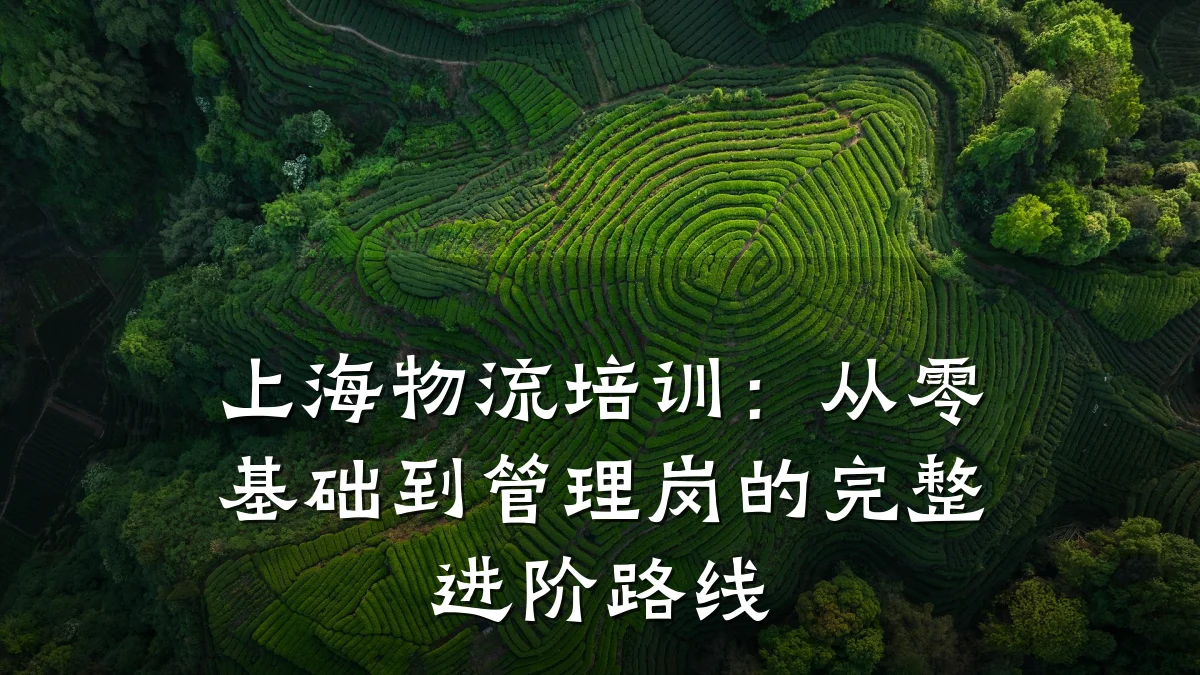 上海物流培训:从零基础到管理岗的完整进阶路线