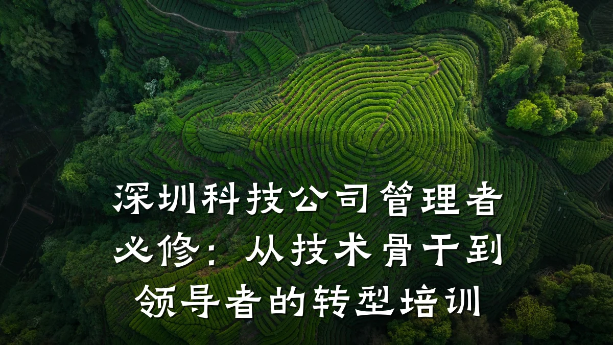 深圳科技公司管理者必修:从技术骨干到领导者的转型培训