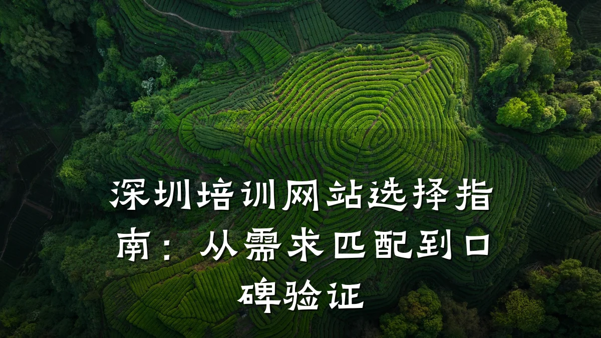 深圳培训网站选择指南:从需求匹配到口碑验证