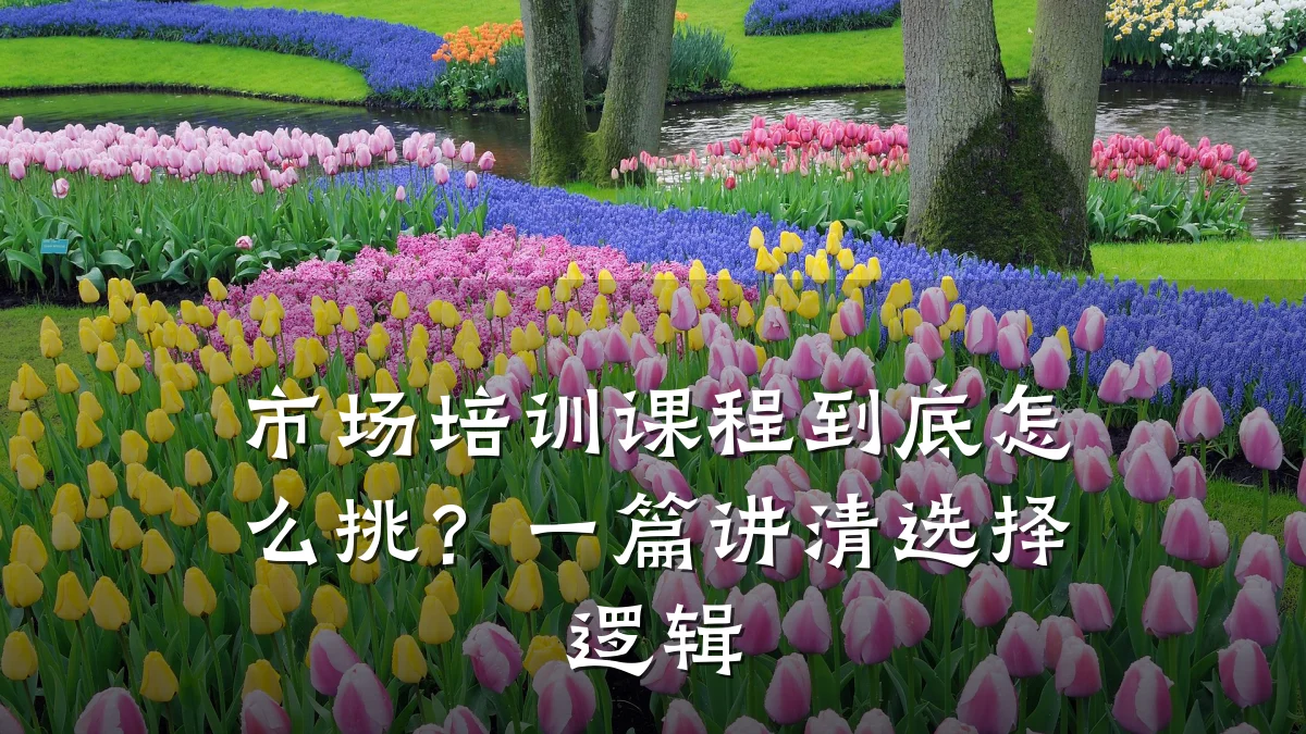 市场培训课程到底怎么挑?一篇讲清选择逻辑