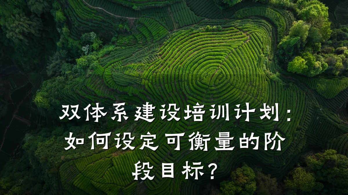 双体系建设培训计划:如何设定可衡量的阶段目标?