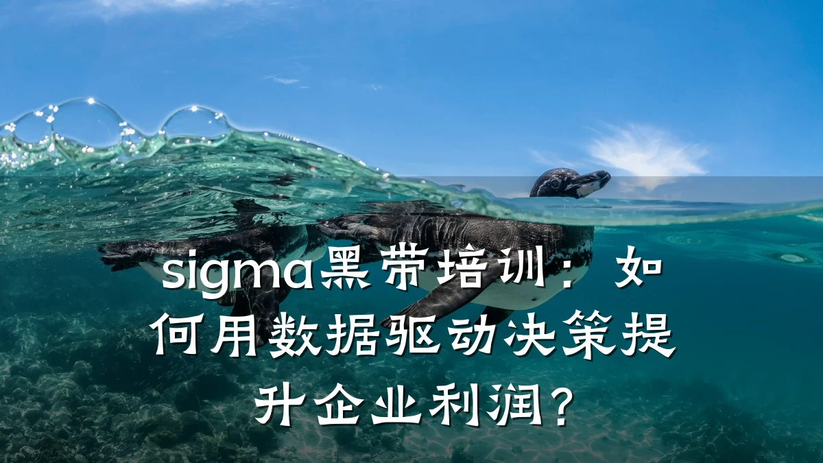 sigma黑带培训:如何用数据驱动决策提升企业利润?