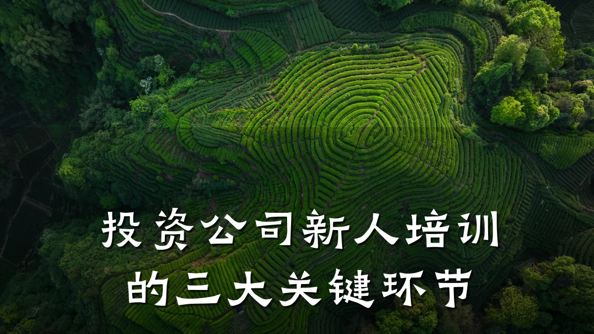 投资公司新人培训的三大关键环节