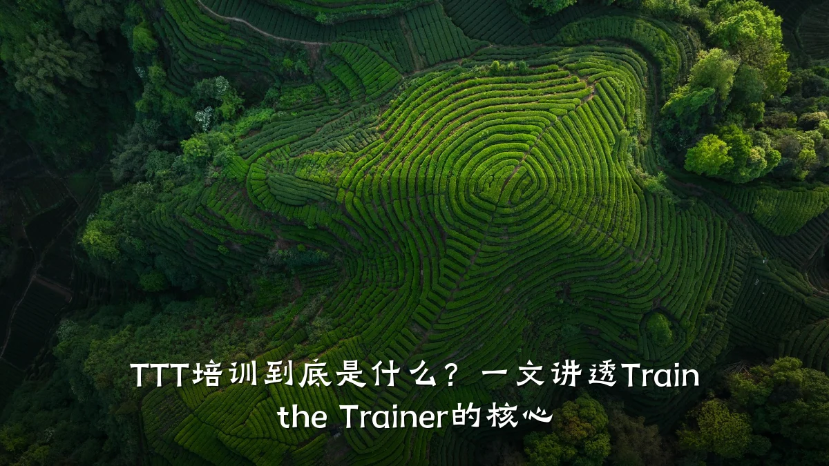 TTT培训到底是什么?一文讲透Train the Trainer的核心