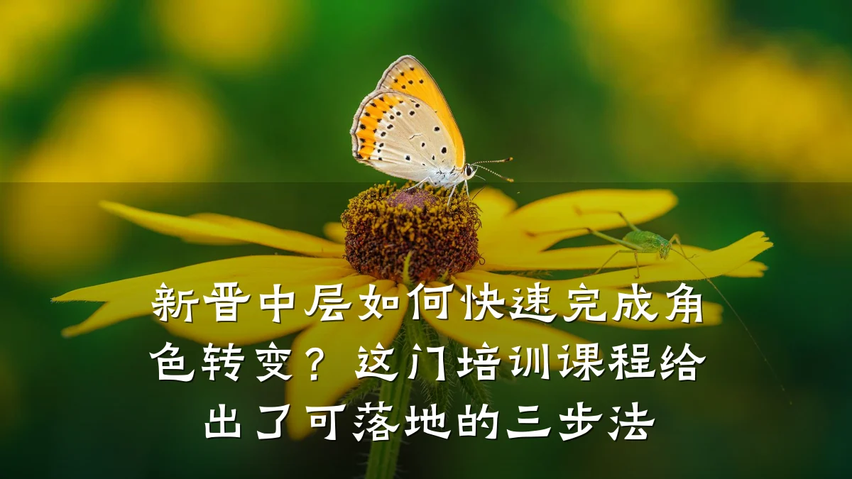 新晋中层如何快速完成角色转变?这门培训课程给出了可落地的三步法