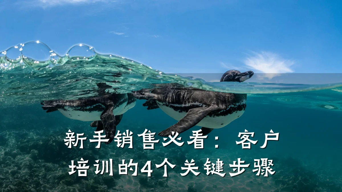 新手销售必看:客户培训的4个关键步骤