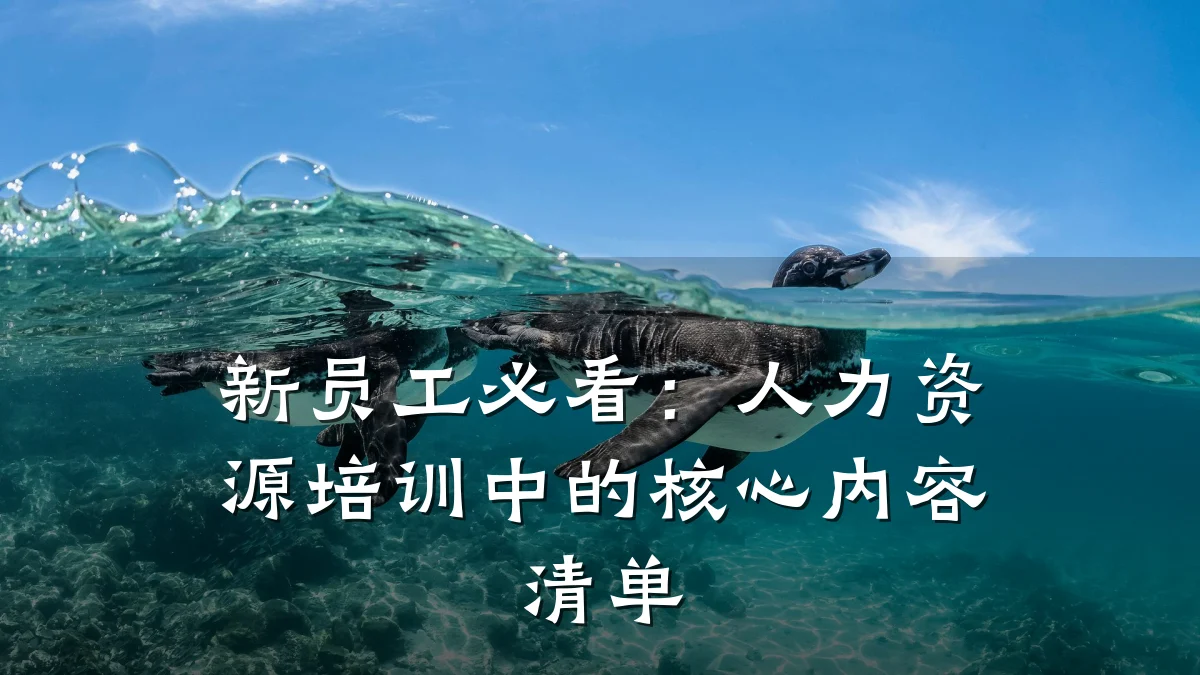 新员工必看:人力资源培训中的核心内容清单