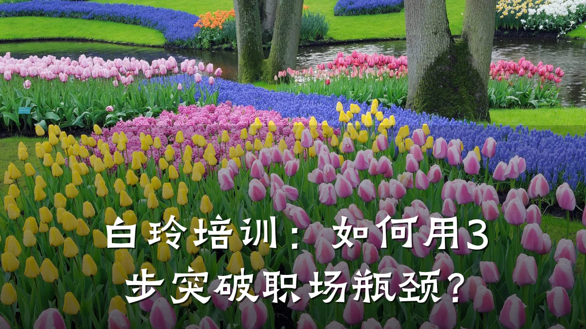 白玲培训:如何用3步突破职场瓶颈?