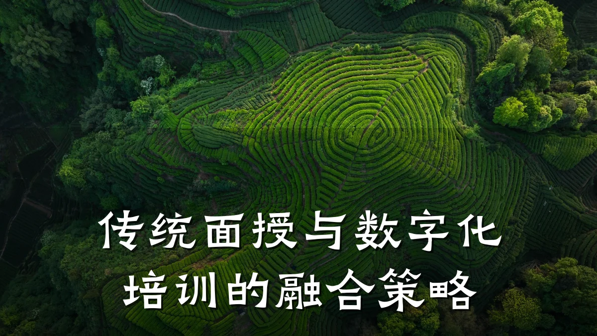 传统面授与数字化培训的融合策略