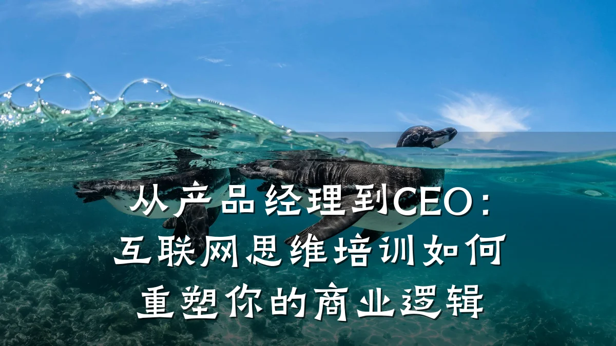 从产品经理到CEO:互联网思维培训如何重塑你的商业逻辑