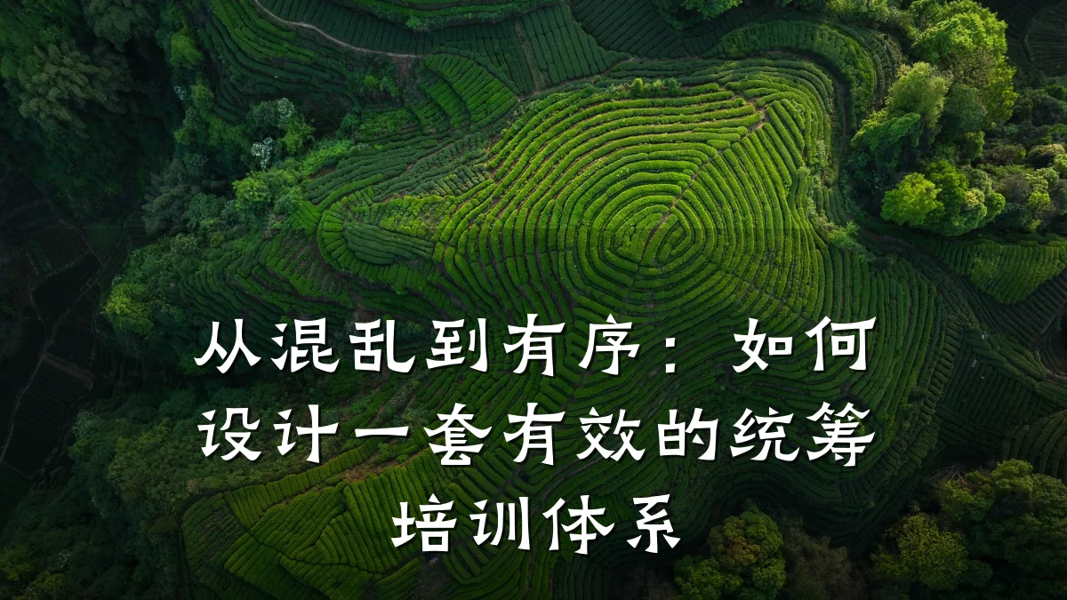 从混乱到有序:如何设计一套有效的统筹培训体系