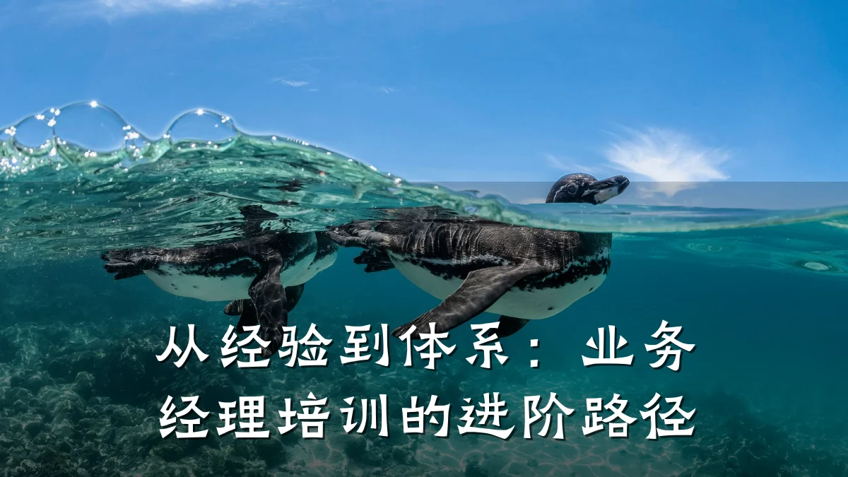 从经验到体系:业务经理培训的进阶路径