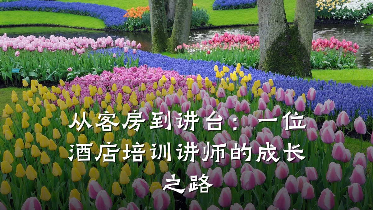 从客房到讲台:一位酒店培训讲师的成长之路