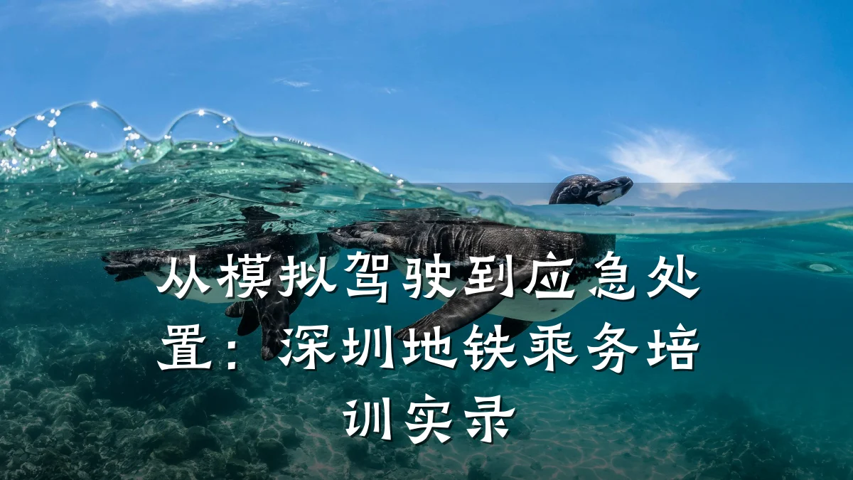 从模拟驾驶到应急处置:深圳地铁乘务培训实录