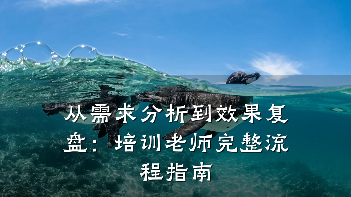 从需求分析到效果复盘:培训老师完整流程指南