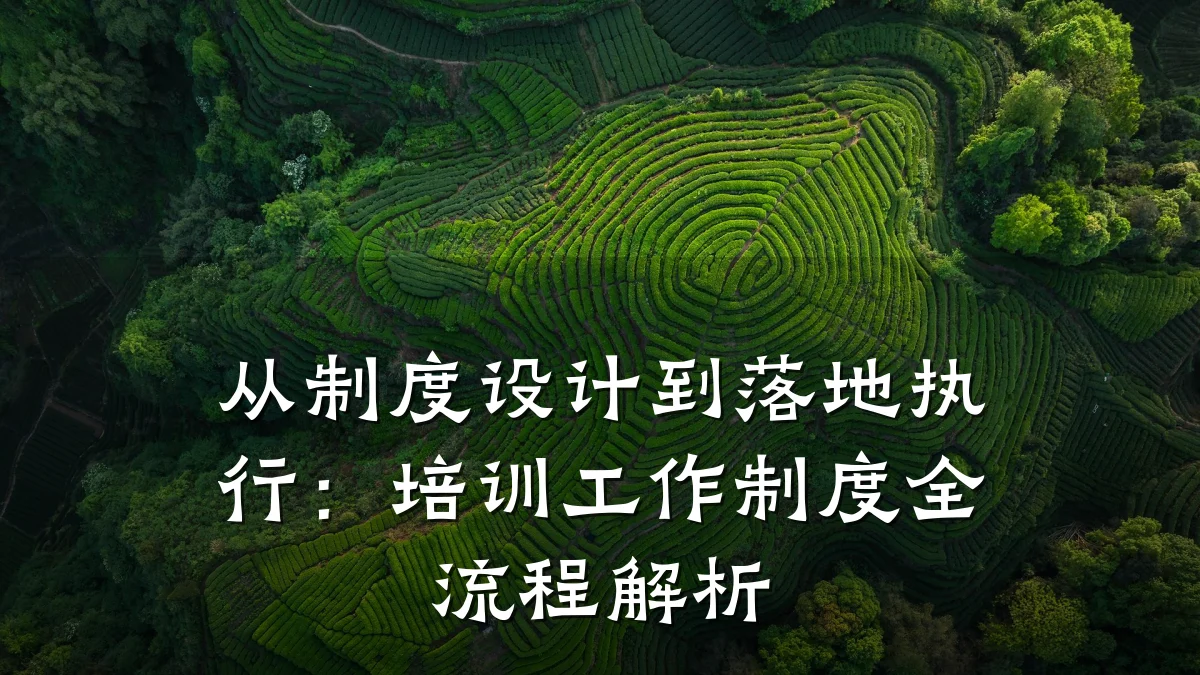 从制度设计到落地执行:培训工作制度全流程解析