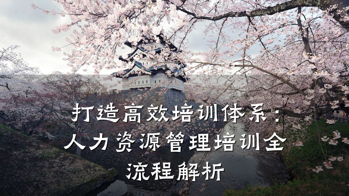 打造高效培训体系：人力资源管理培训全流程解析