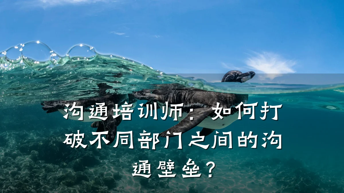 沟通培训师:如何打破不同部门之间的沟通壁垒?