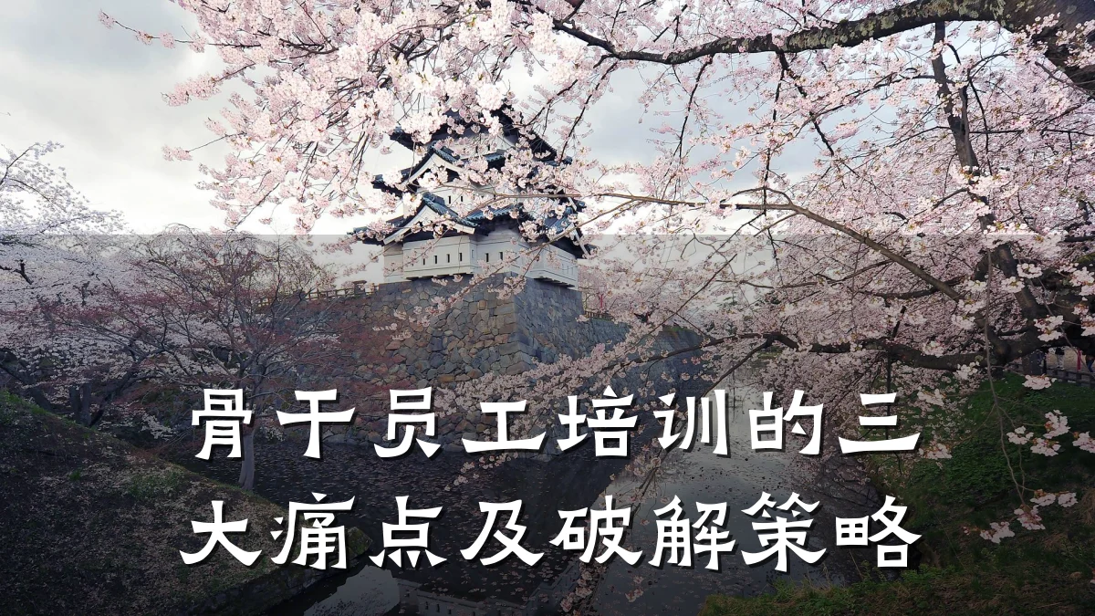 骨干员工培训的三大痛点及破解策略