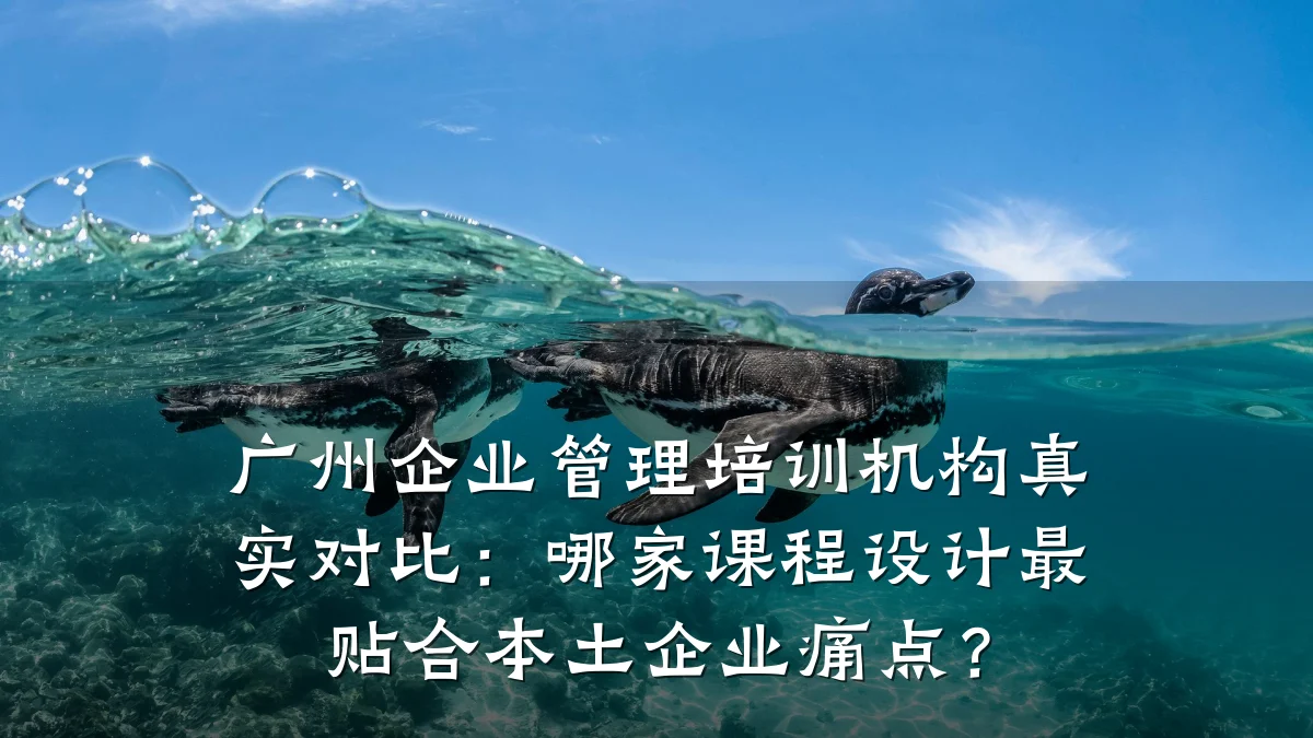 广州企业管理培训机构真实对比:哪家课程设计最贴合本土企业痛点?