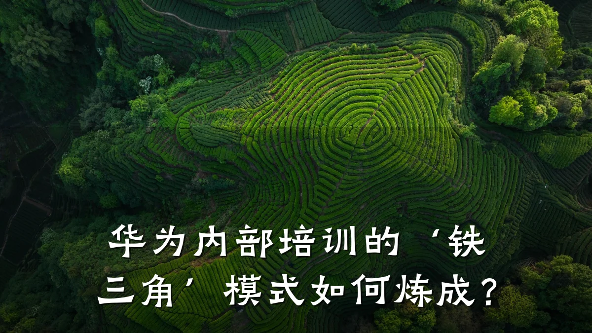 华为内部培训的‘铁三角’模式如何炼成?