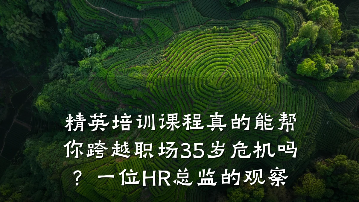 精英培训课程真的能帮你跨越职场35岁危机吗?一位HR总监的观察