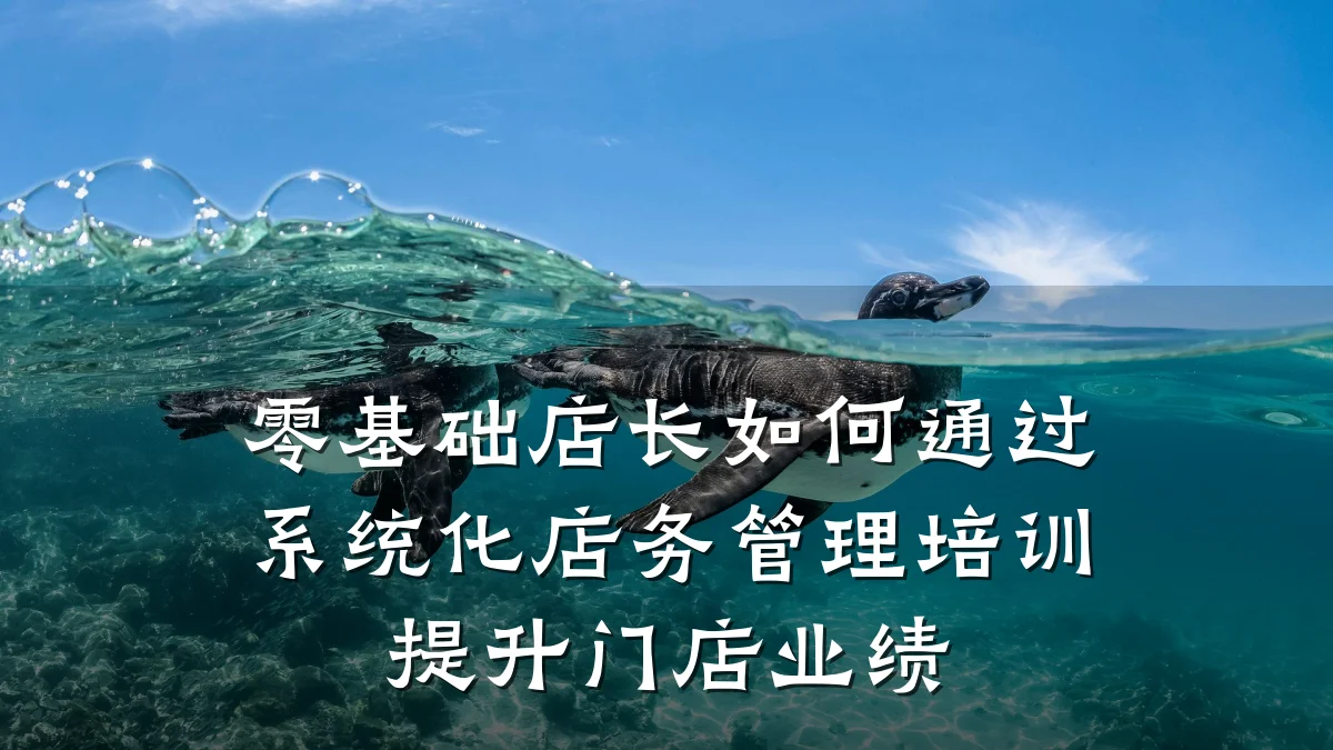 零基础店长如何通过系统化店务管理培训提升门店业绩
