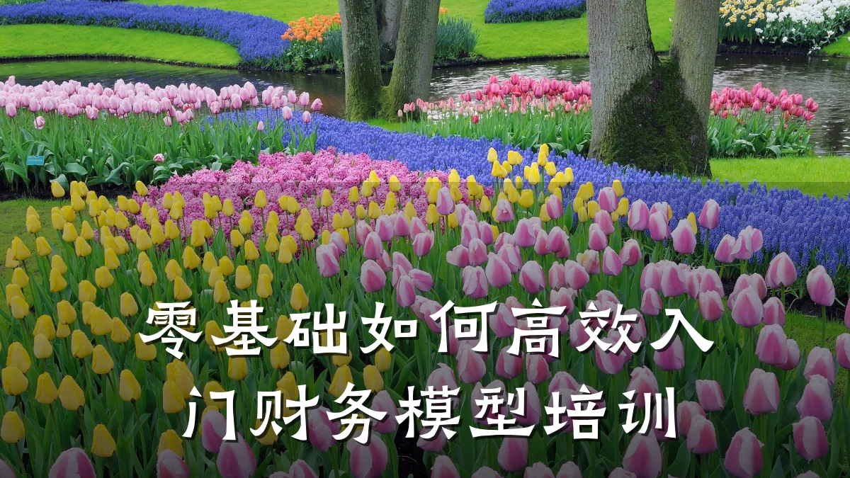 零基础如何高效入门财务模型培训