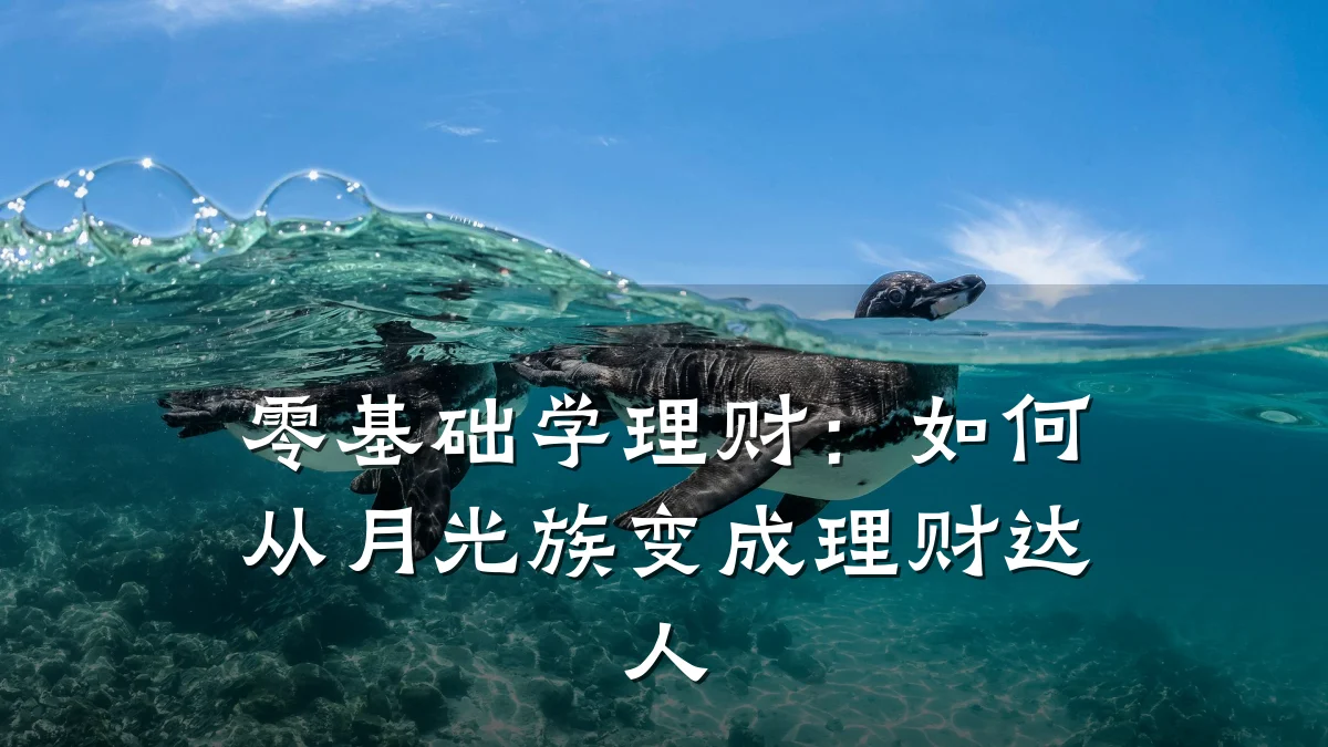 零基础学理财:如何从月光族变成理财达人