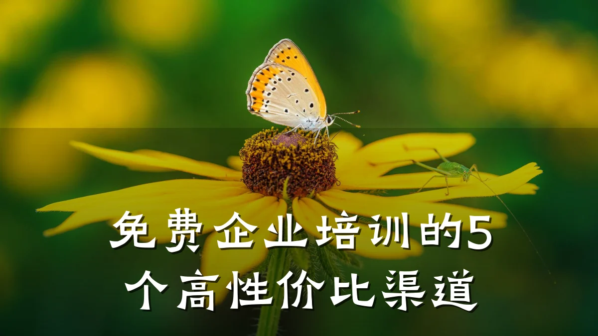 免费企业培训的5个高性价比渠道