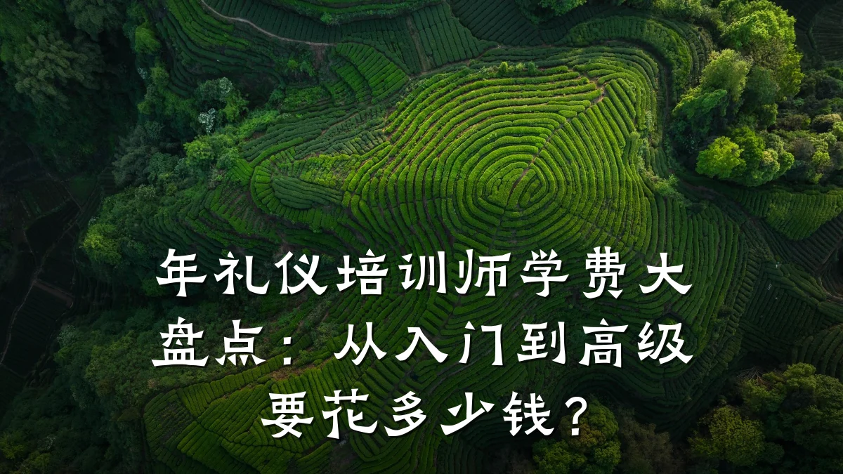 年礼仪培训师学费大盘点:从入门到高级要花多少钱?