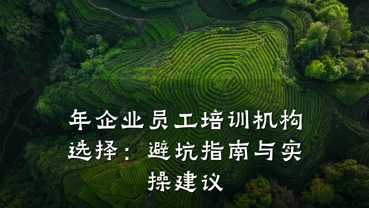年企业员工培训机构选择:避坑指南与实操建议