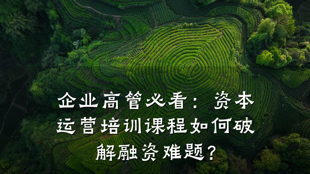 企业高管必看:资本运营培训课程如何破解融资难题?