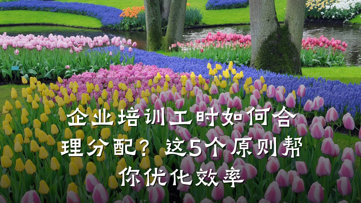 企业培训工时如何合理分配?这5个原则帮你优化效率