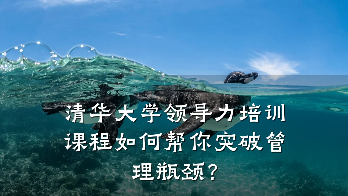 清华大学领导力培训课程如何帮你突破管理瓶颈?