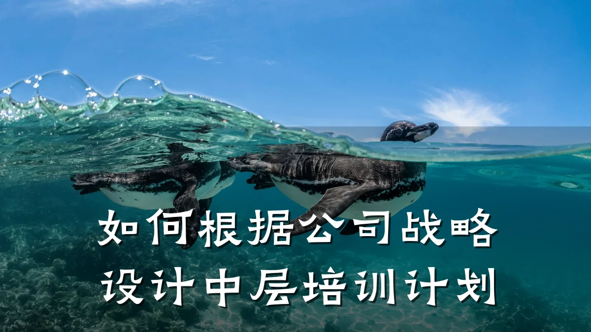 如何根据公司战略设计中层培训计划