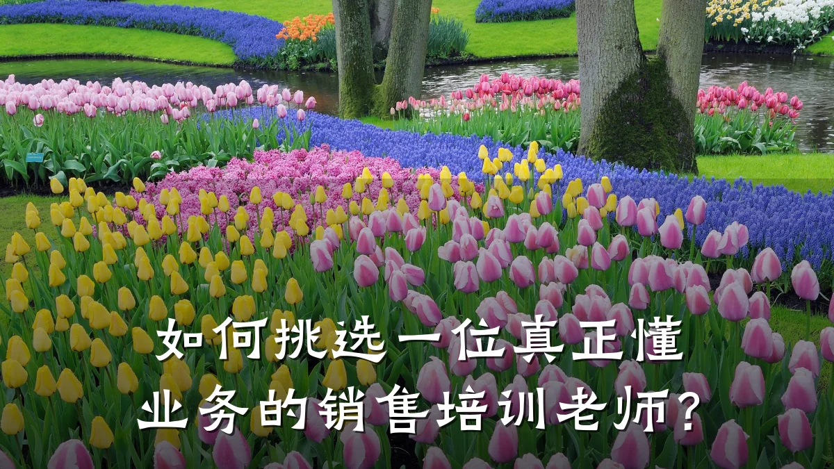 如何挑选一位真正懂业务的销售培训老师？