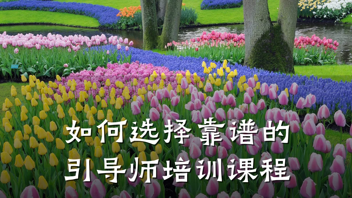 如何选择靠谱的引导师培训课程